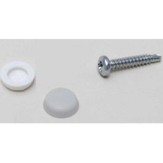 Miniature 20 X VIS 3.9 X 22 MM + CAPUCHONS BLANC - MASIS N° 0