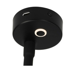 Miniature LISEUSE /SPOT FLEX AVEC FONCTION DE CHARGE USB-C - FELINO - HABA N° 1