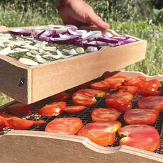 Miniature Séchoir solaire - OMY S - SOLAR BROTHER N° 10