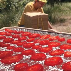 Miniature Séchoir solaire - OMY S - SOLAR BROTHER N° 12