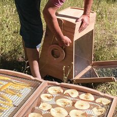 Miniature Séchoir solaire - OMY S - SOLAR BROTHER N° 13