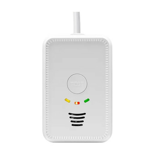 Détecteur gaz 2 en 1 - CARBEST