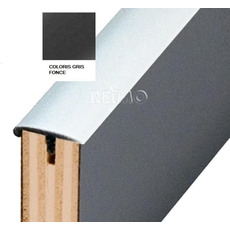 Miniature PROFIL T AVEC NEZ 15MM  X 5 M N°3